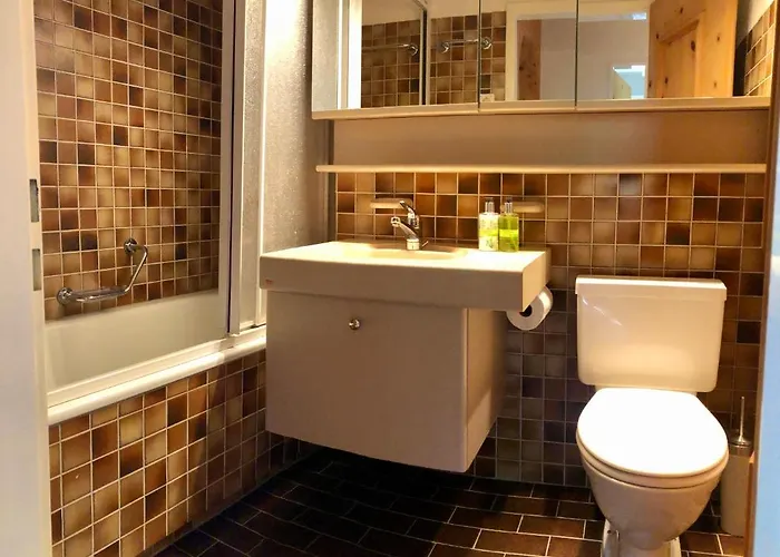 Bolgenblick 达沃斯